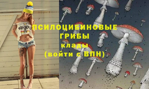 спайс Богородск